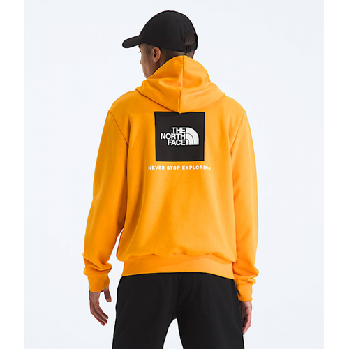 Black Men's Evolution Box NSE Hoodie