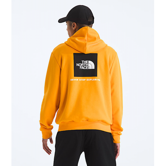 Black Men's Evolution Box NSE Hoodie
