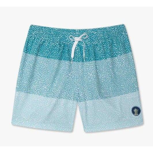Load image into Gallery viewer, White Smoke M Chubbies Swim Trunks
