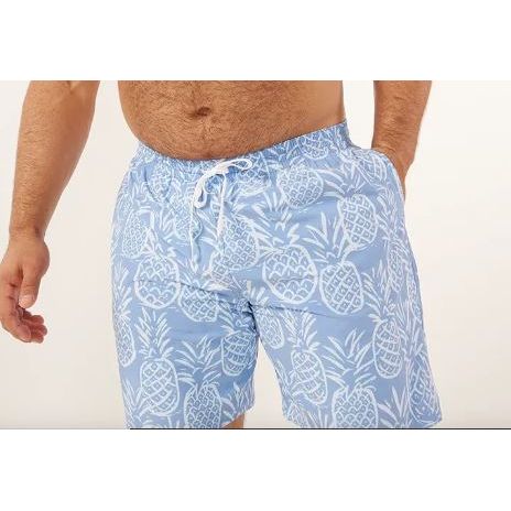 Load image into Gallery viewer, Light Gray M Chubbies Swim Trunks
